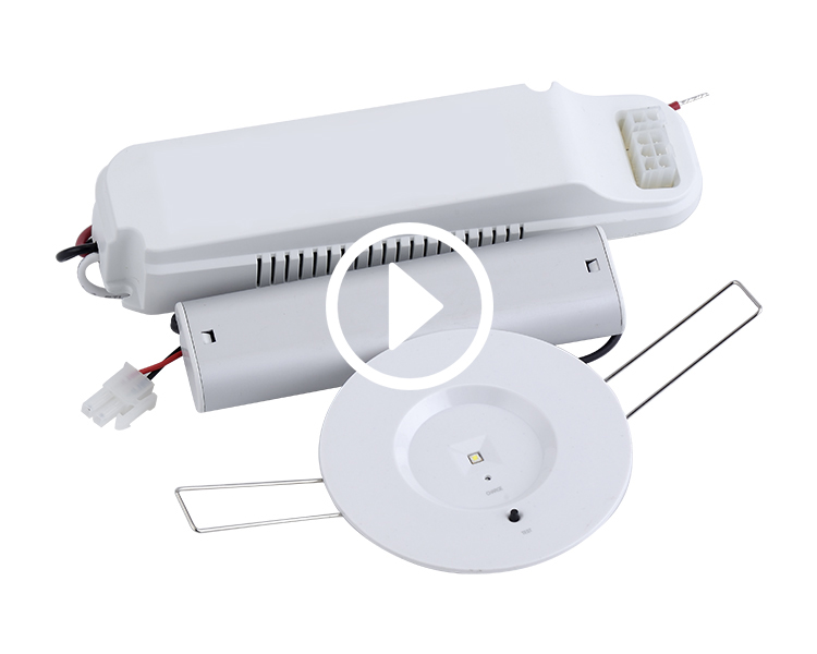 D40-R-1 Emergency LED Downlight D40-R-1 Emergency LED Downlight