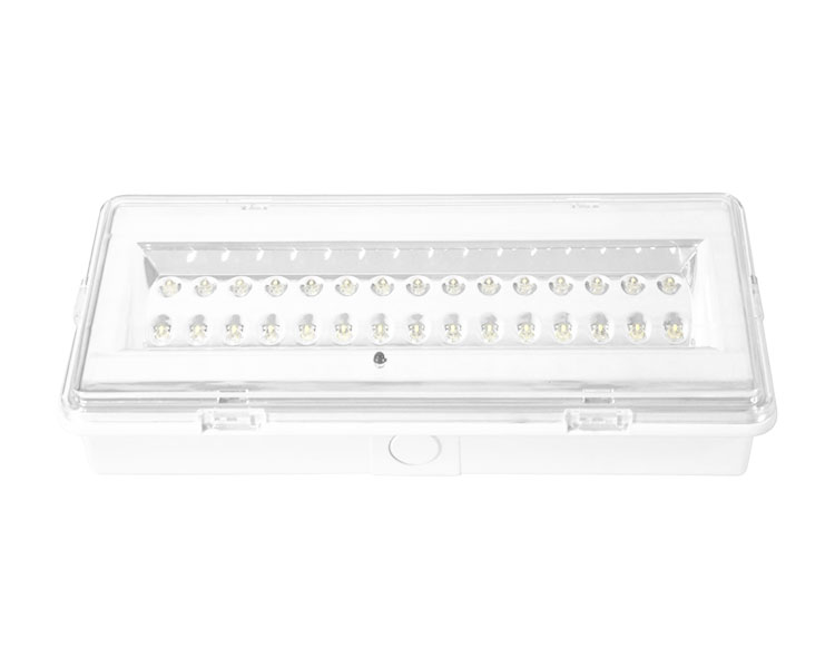 LE503L Non-Maintained LED Waterproof Emergency Lamp