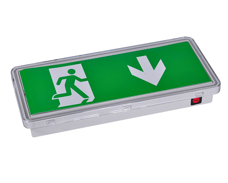 LE515-21 Clear Polycarbonate Diffuser 21LED Waterproof Luminaires