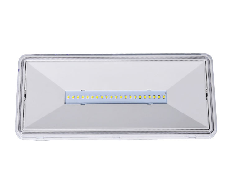LE515-21 Clear Polycarbonate Diffuser 21LED Waterproof Luminaires