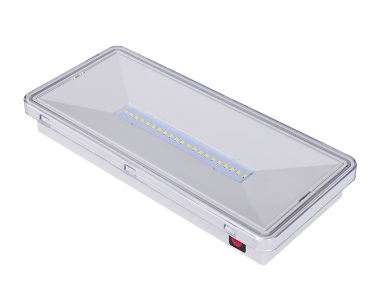 LE515-21 Clear Polycarbonate Diffuser 21LED Waterproof Luminaires