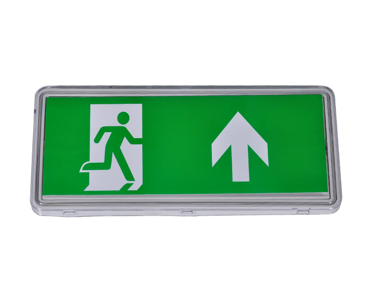 LE515-21 Clear Polycarbonate Diffuser 21LED Waterproof Luminaires