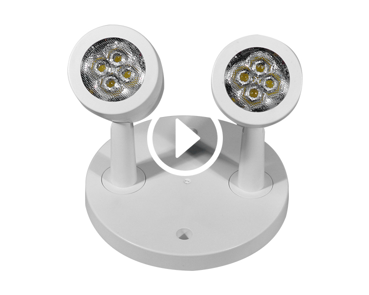 CNDRH2 -2*4*3030 SMD Indoor Double Remote Lamp Heads